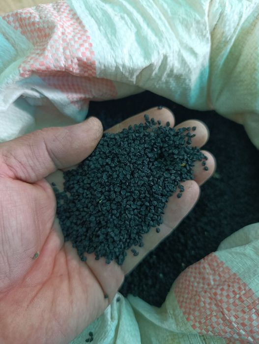 Семена лук Роббин