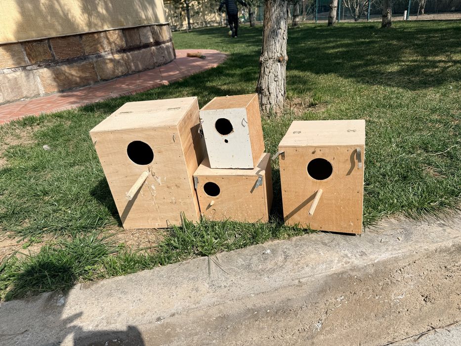 Продаются дуплянки.