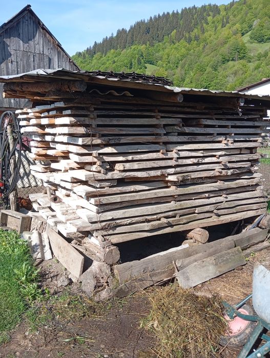 Vând nuc uscat ...