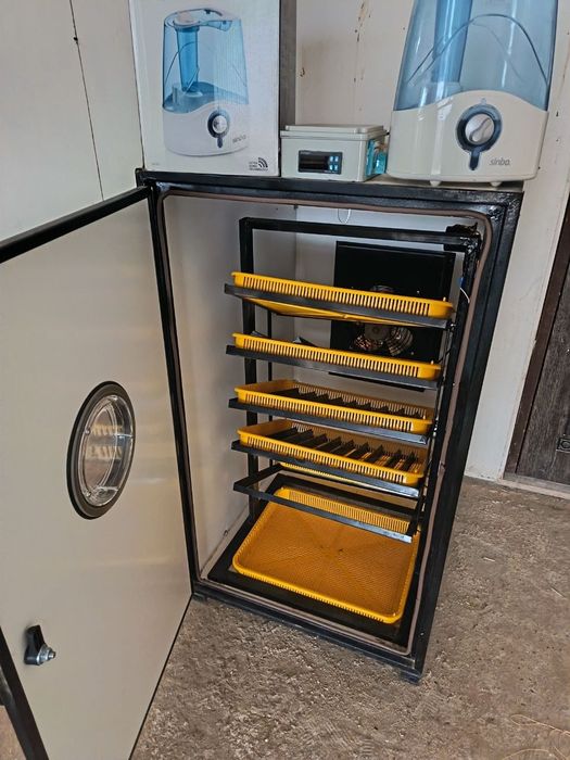Inkubator 500 talik
