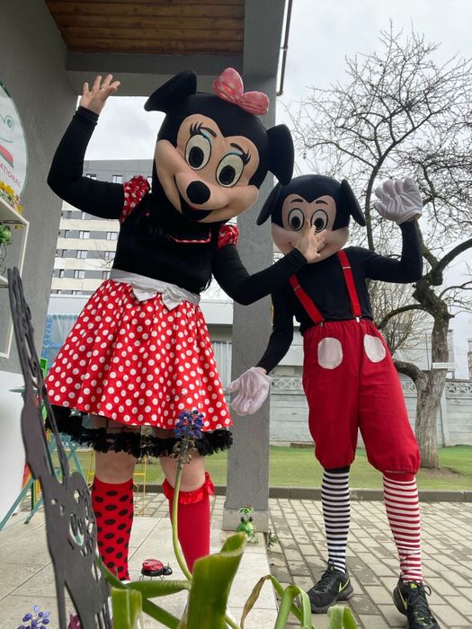 Personaje/Mascote /Animatori party copii Brasov