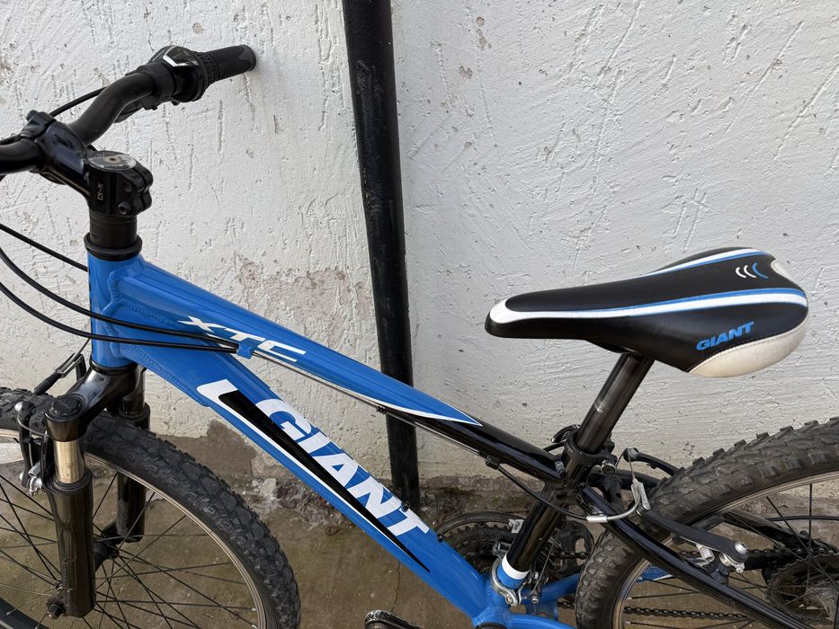 Giant xtc 24, scott, author, cub, stern