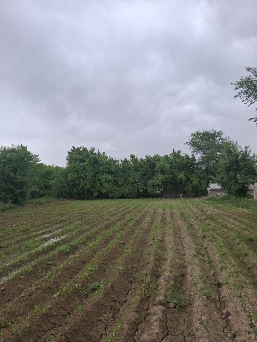 12 sotx uchaska+bogʻ sotiladi