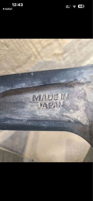 Rays Versus BL-10 Genoma