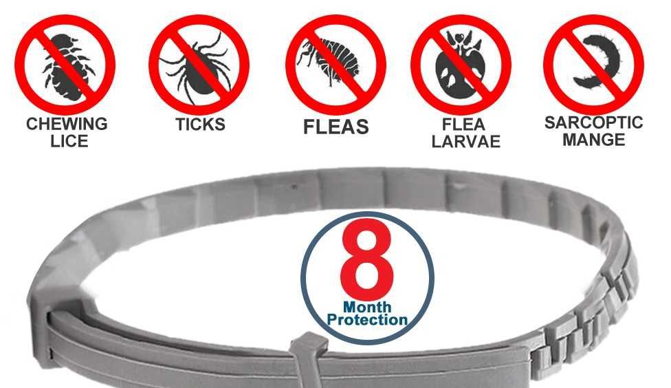 ошейник антиблох кошки и щенята