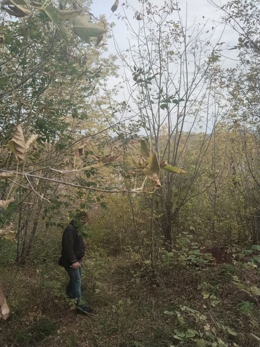 Участок на 42 км