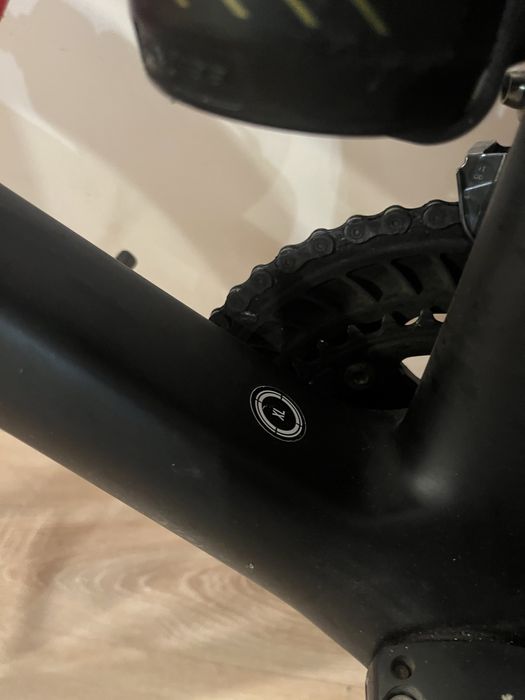 Willier Triestina 2020