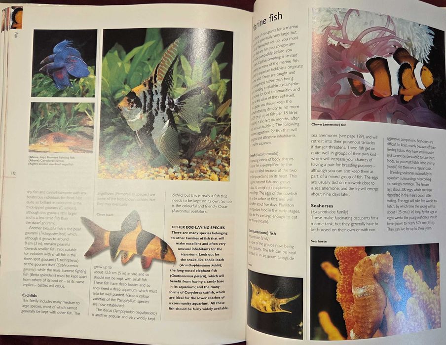 Енциклопедия за домашни любимци / The Hamlyn Family Pet Care Encyclopedia