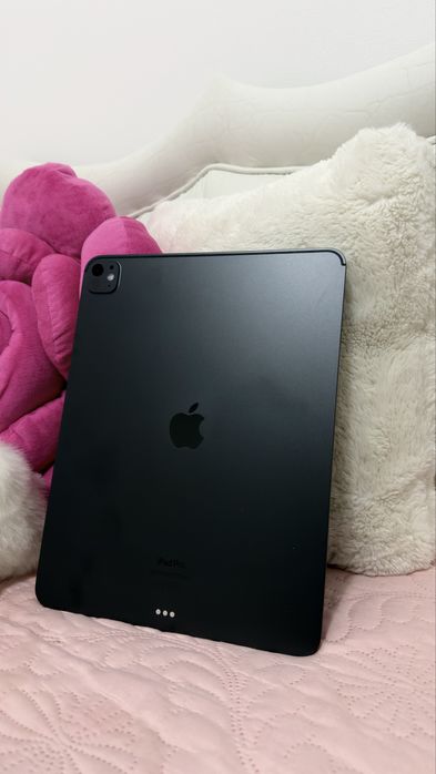 iPad Pro 13” (M4, 256GB)