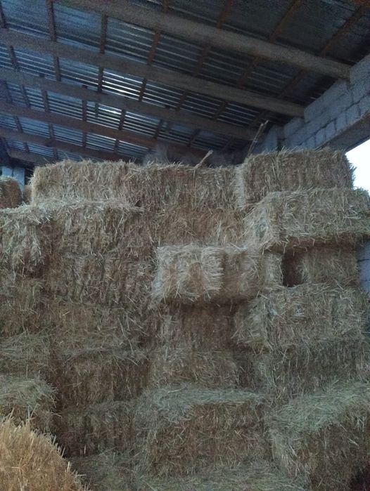 Продаётся Салома Пресс