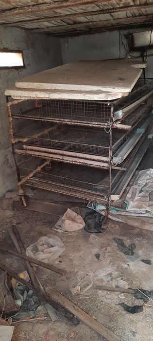 бедона куши учун профессионал клетка