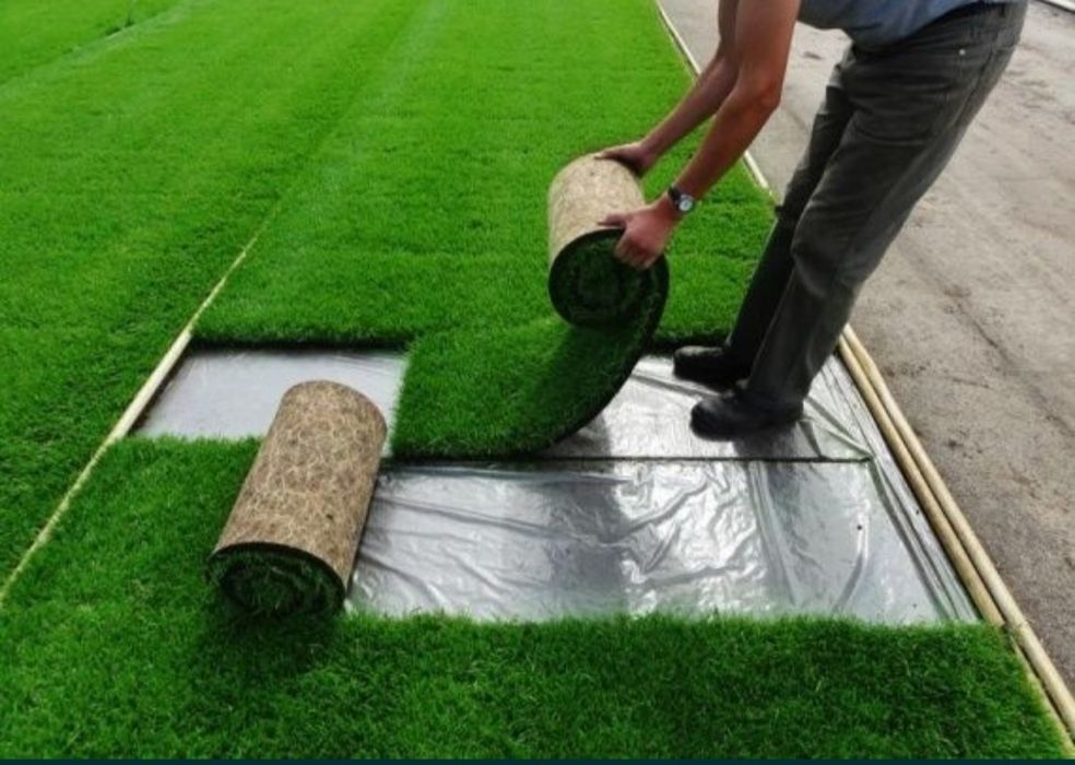 Посев и укладка газона | Gazon ekish va yotqizish hizmati