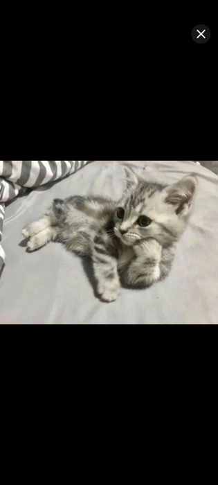 Продам Электровелосипед