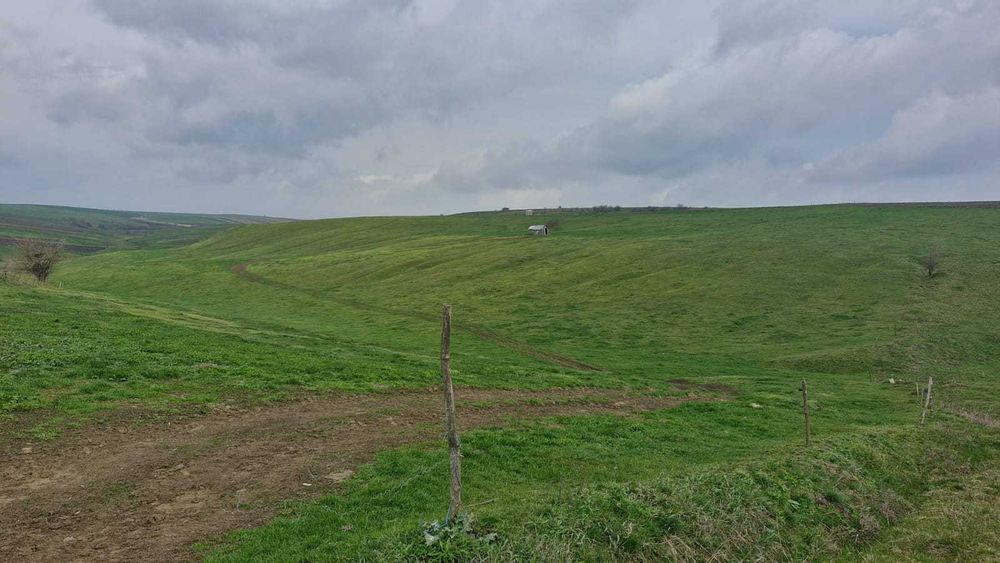 Teren Extravilan- Pășune