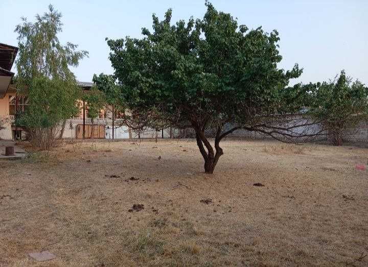 Участка сотилади 24 сотик