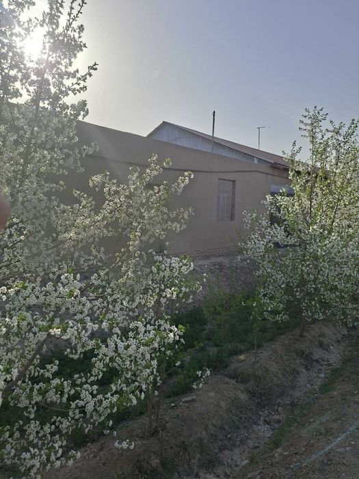 Yangiariq tumani Sherobod MFYda qurilishi tugallanmagan hovli joy