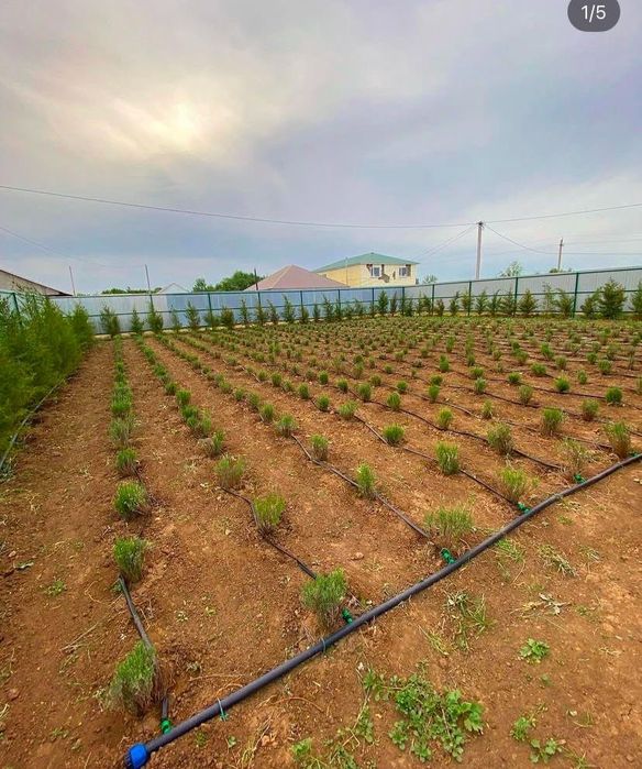 Продается двухуровневый дом