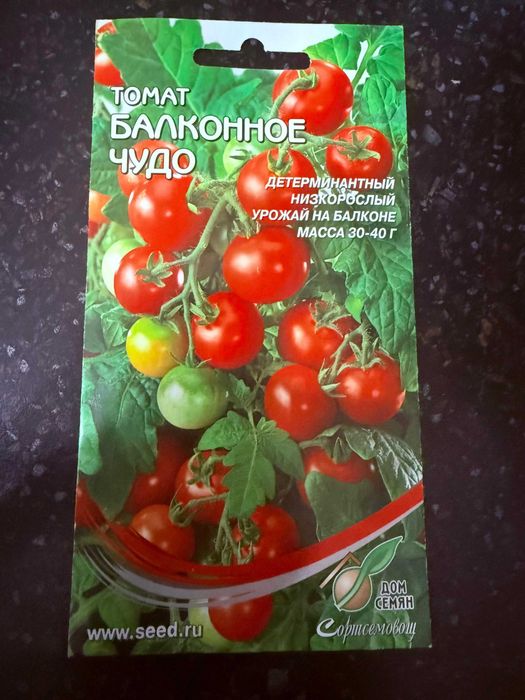 Балконная рассада помидоры перец огурцы