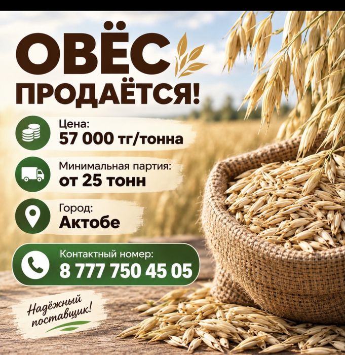 Овёс от 25тонн хорошего качества