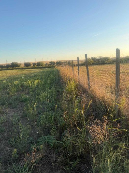 Teren intravilan 4.003 mp Frecatei, Tulcea - drum pe 3 laturi, curent