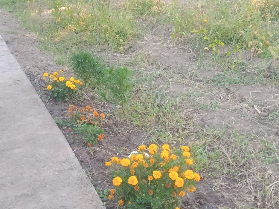 Продаётся зесля под дачу