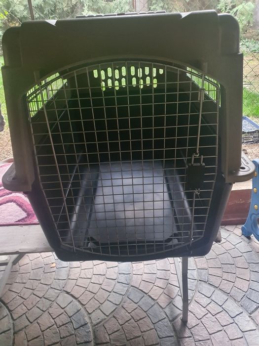 Авиабокс для собак