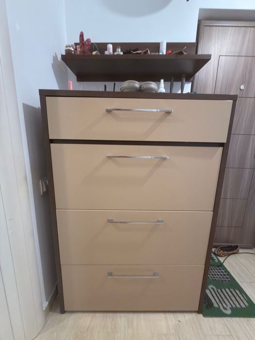 Hol intrare apartament