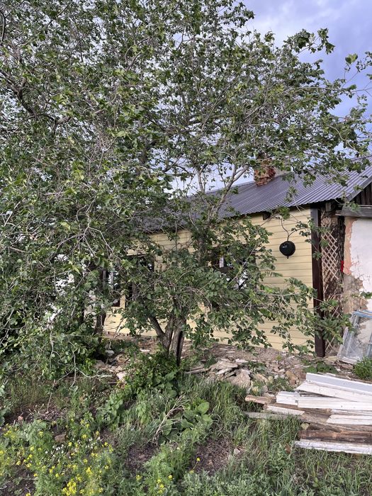 Участок земли с домиком