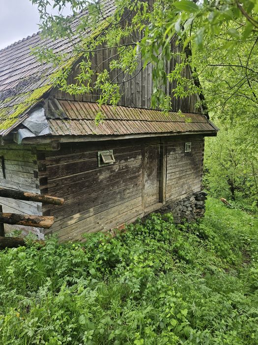 Vind poiata ,buna pt constructie cabana