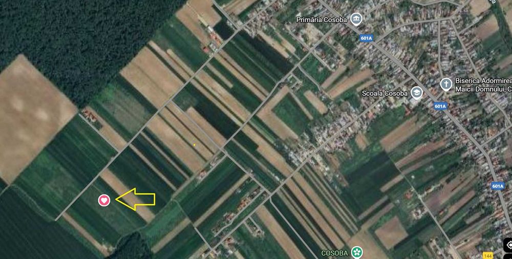 Teren Cosoba intravilan Jud. Giurgiu aproape sector 6 Bucuresti 2000m²
