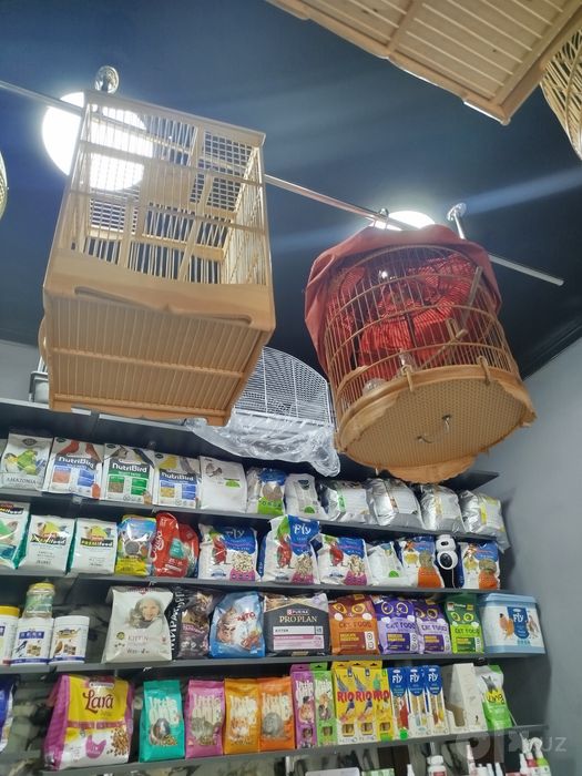 Qafas sotiladi srochno