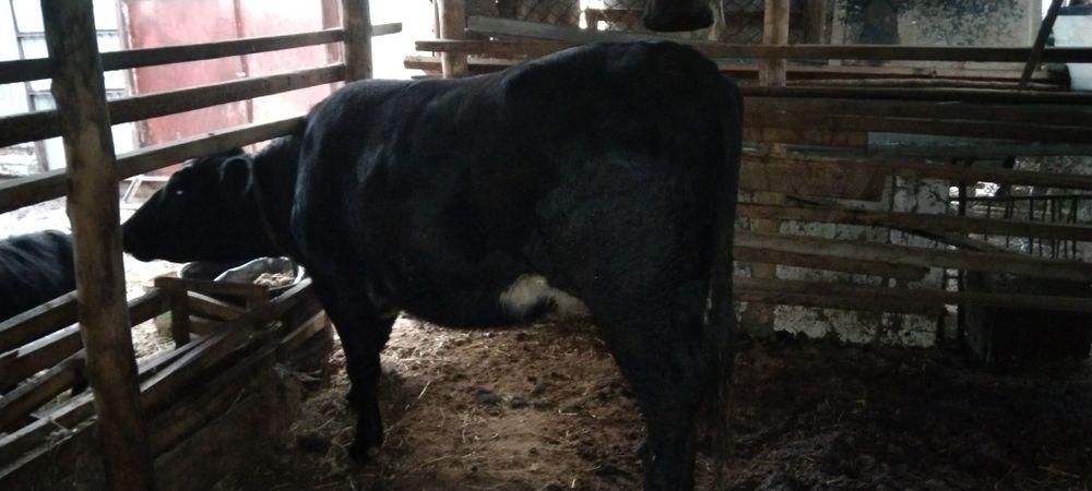 Сатылады срочно емес