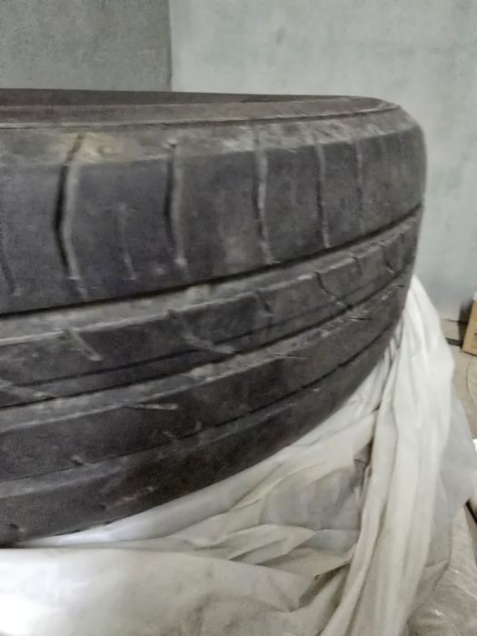 Continental лето