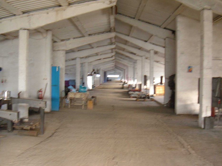 Hala de vanzare - localitatea Panic, judetul Salaj