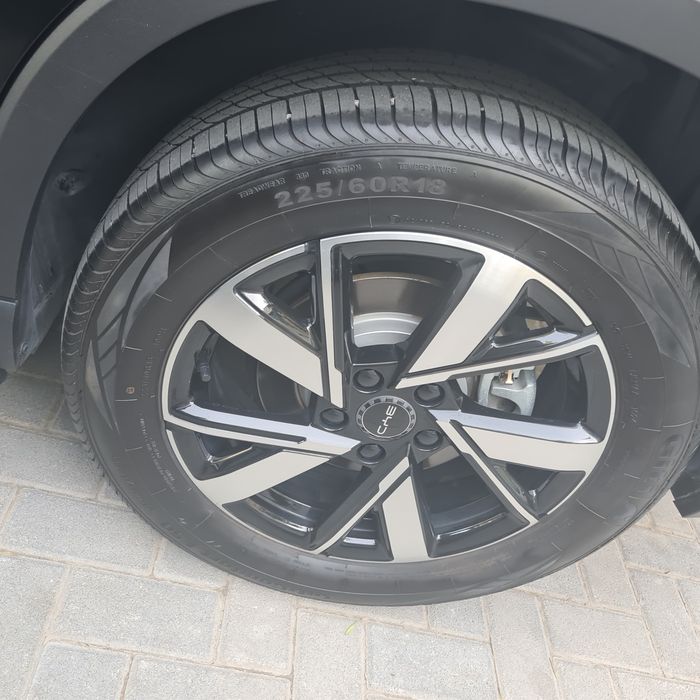 Byd song pro 2024