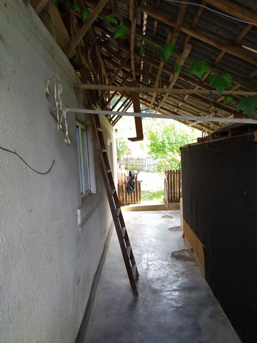 Casa langa padure plus 4700 metri patrati