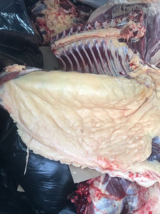 Согым конина молодняк