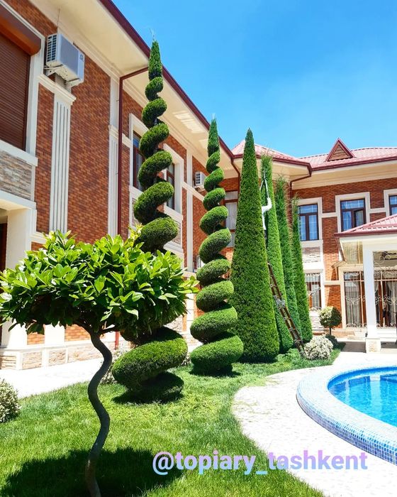 Archa kesish dorilash