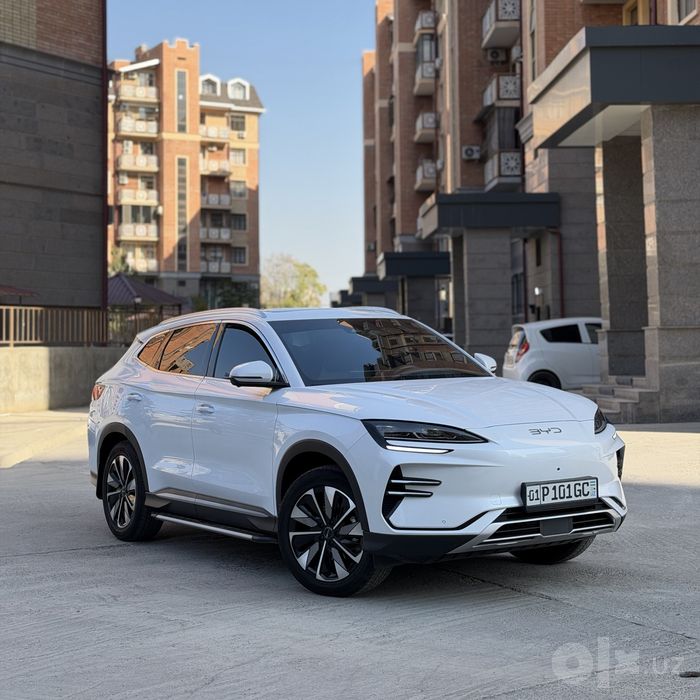 Byd champion restyling