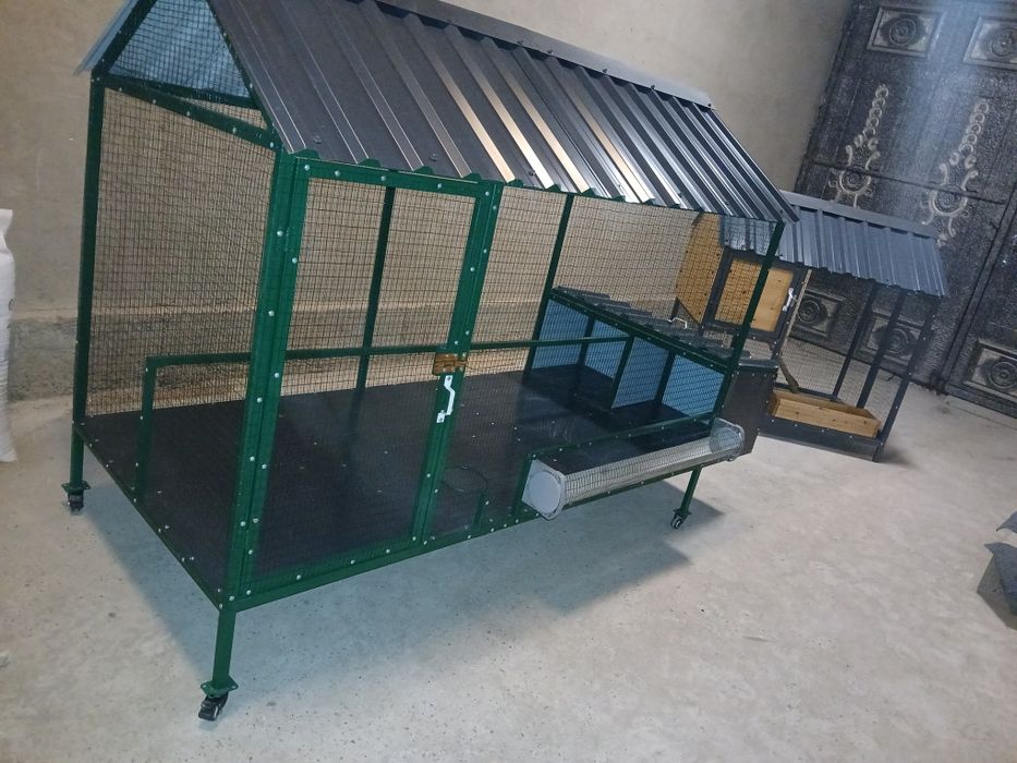 Tovuq katak zakazga