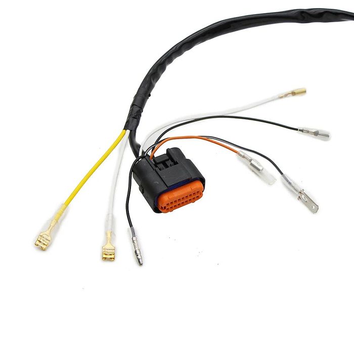 Stator Moto Gas Gas EC125 2005-2006 EC200 EC250 EC300 2005-2008 A888