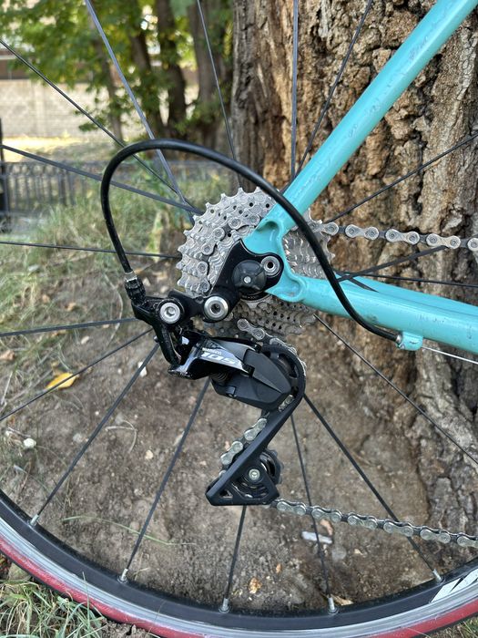Bianchi via nirone 2010
