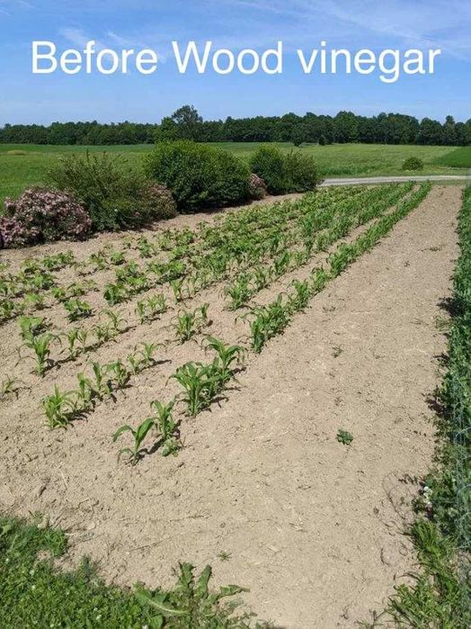 ПРОИЗВЕЖДАМ ОРГАНИЧЕН ДЪРВЕН ОЦЕТ ( Wood Vinegar) - тор за наторяване