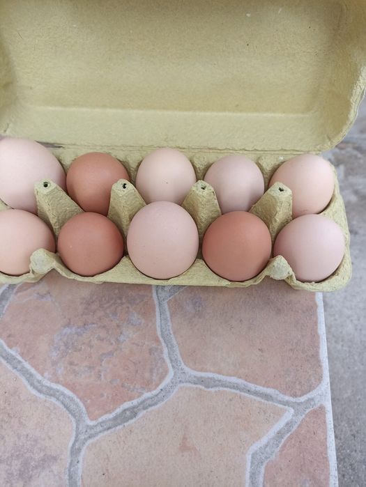 ПРЕДЛАГАМ ДОМАШНИ ЯЙЦА 0.25€ цента/бр.