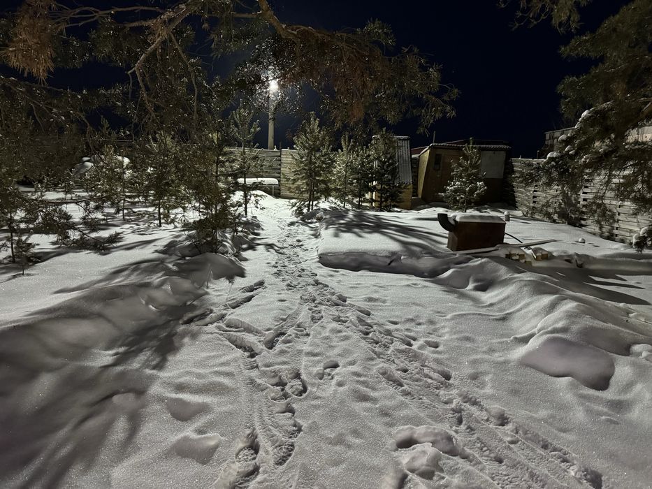 Дом, мангал, беседка в лесу