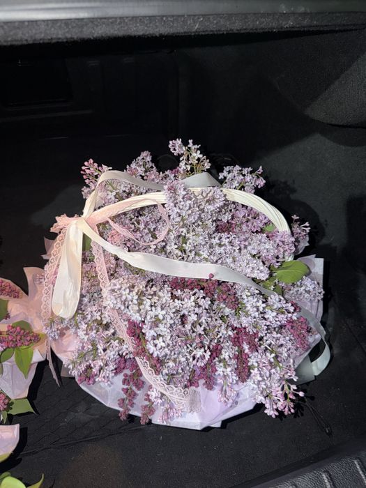 Сирень 10.000 ……………