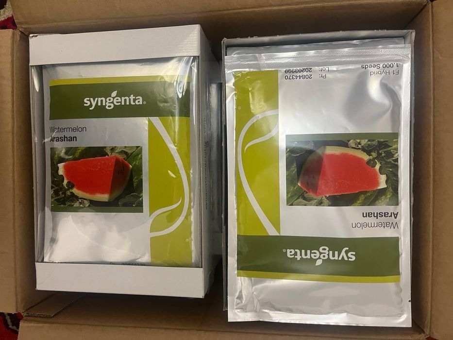 Продам семена арбуза