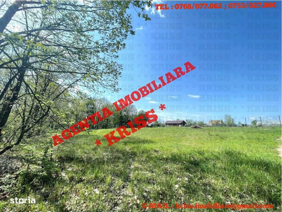 TEREN 800 Mp. Poiana - Lacului 27X28 Utilități La 15 Km De Pitești