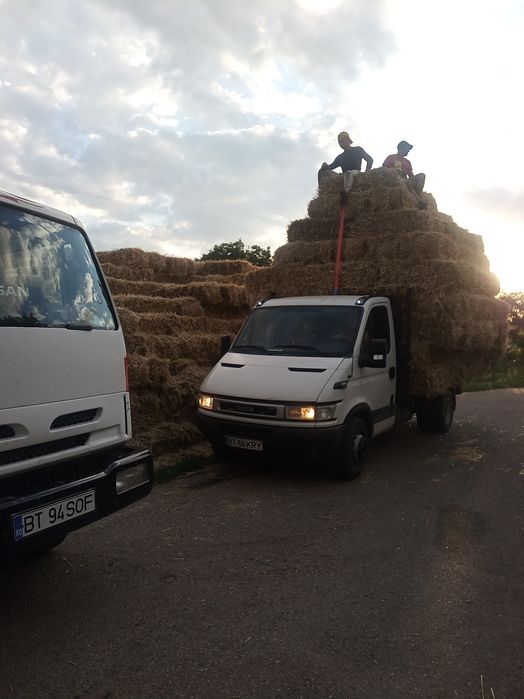 Baloti paie 2000 buc ,  8 lei buc ,, făn  20 lei buc ,lucerna 20 lei