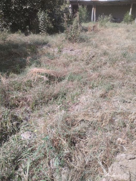 Toshkendan uncha uzo bomagan yer uchastka sotiladi